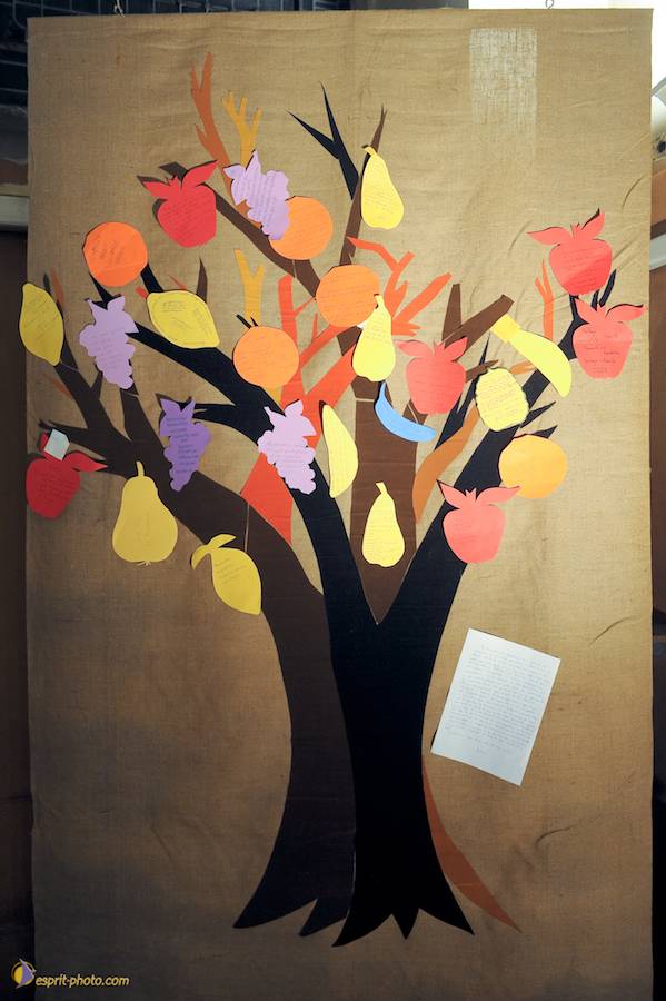 Nom de l'image : D30095050_1_(c)Norbert-JUNG — Description :